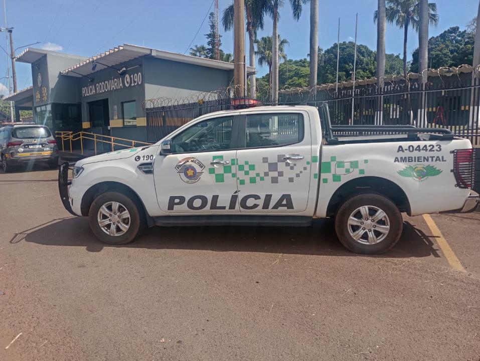 Foto 6 de 6 — VÍDEO: Dupla é detida pelo TOR após ser flagrada transportando 4 macacos-prego na SP-310 em Araraquara